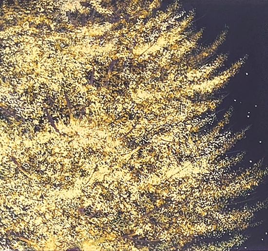千住博の絵画作品　タイトルは、大イチョウ